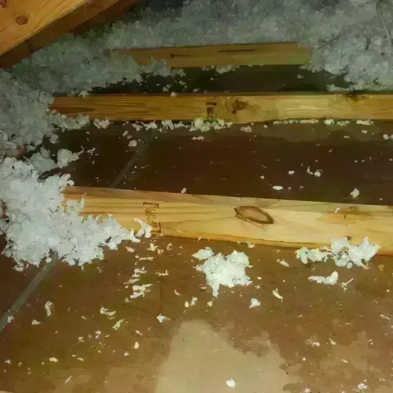 Attic Water Damage in New Boston, NH